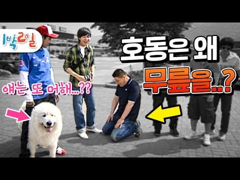 1박2일 41~42회