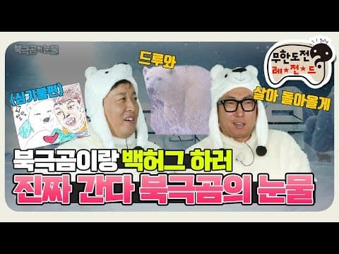 [11月의 무도] 도토아빠가 쏘아올린 작은 공, 북극곰을 만나다 "북극곰의 눈물" infinite challenge